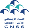 CNSS-Logo
